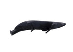 Passenger Side Fog Light Lamp Cover without Hole For 2005-2008 Toyota Corolla image 9
