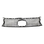 Grille Gray with Emblem Provision Holes For 2013-2016 Lexus GS350 2015 GS450h image 1